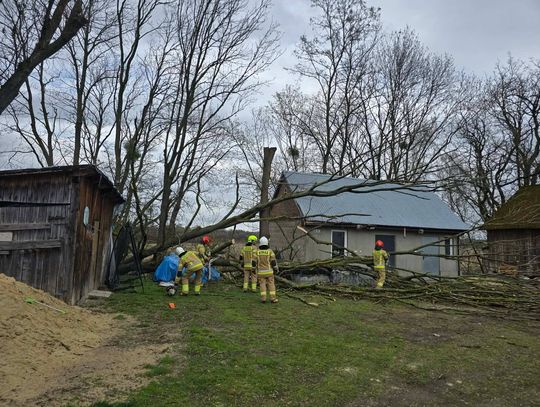 Wiadomości lokalne. Silny wiatr zniszczył dachy i powalał drzewa