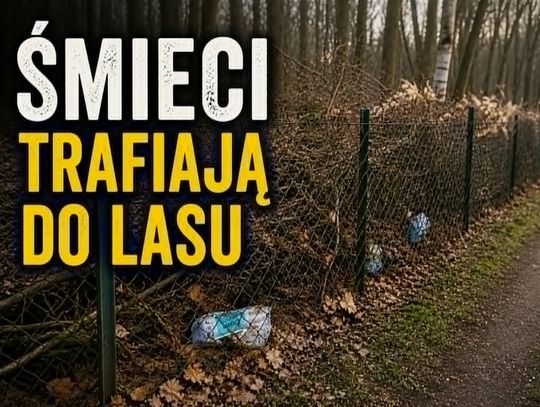 Wiadomości lokalne. Śmieci w lesie przy ogródkach „RAJ”. Problem narasta