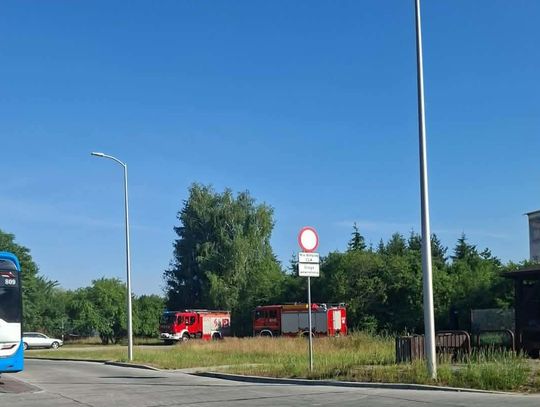 Na chełmskich Gliniankach, na plaży znaleziono nieprzytomną 63-letnią kobietę.