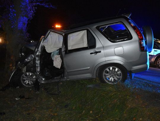 Wiadomości lokalne. Śmiertelne uderzenie w drzewo na krajowej dwunastce. Policja wyjaśnia okoliczności tragedii w Kamionce