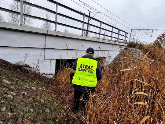 Wiadomości lokalne. SOK i policja interweniowały przy torach w Chełmie