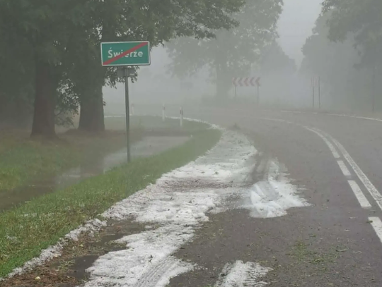 Wiadomości lokalne. Wiatr, grad i podtopienia - skutki niedzielnych burz w regionie