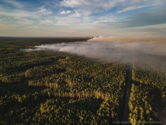 W kompleksach leśnych na terenach powiatów biłgorajskiego, zamojskiego i tomaszowskiego pracują liczne siły straży pożarnej.