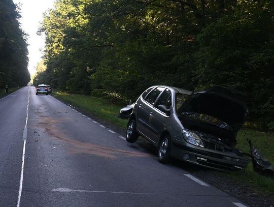 80-letni kierowca z Hrubieszowa, z nieznanych przyczyn, zjechał renault na przeciwległy pas i uderzył w peugeota prowadzonego przez 45-latkę z Chełma.