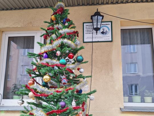 Wigilia pod dachem – święta w schronisku dla bezdomnych