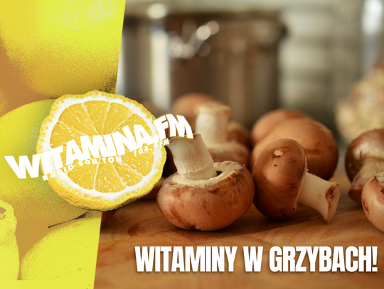 Witaminy w grzybach - Witamina.FM