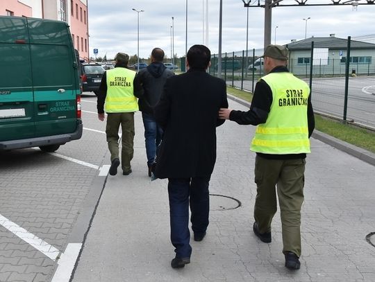 Włodawa: Nielegalnie zatrudnieni przy pracach leśnych