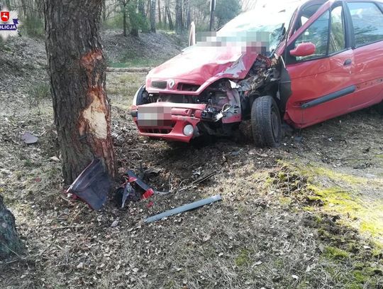 Włodawa: Uwaga na dzikie zwierzęta!