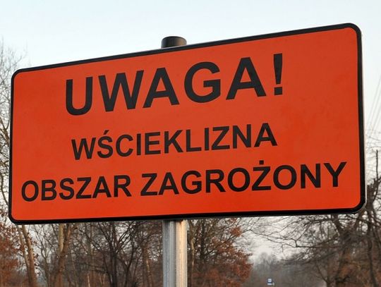 Włodawa: UWAGA! Obszar zagrożony wścieklizną