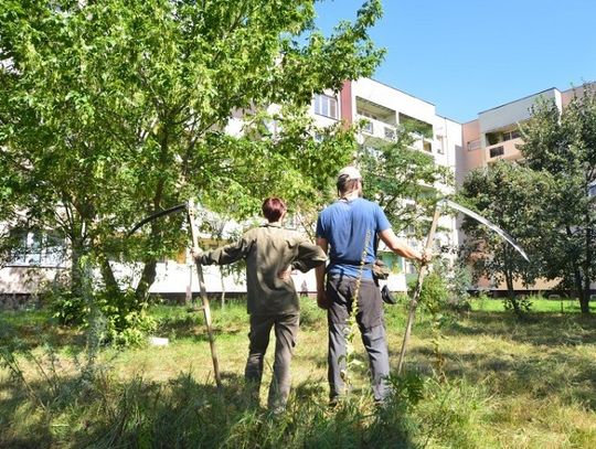 Włodawa: Walczą o drzewa i zielone miasto