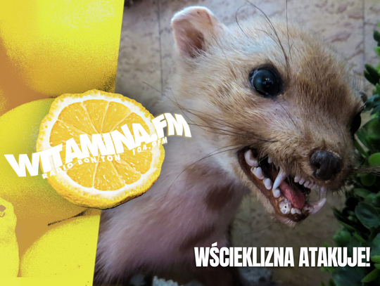 Wścieklizna atakuje! - Witamina.FM