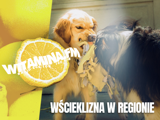 Wścieklizna w regionie! - Witamina.FM