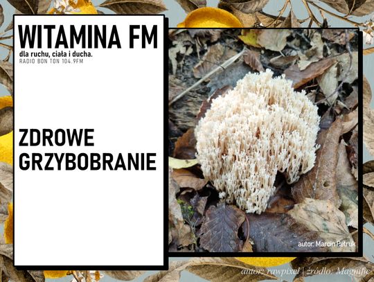 Zdrowe Grzybobranie | Witamina FM