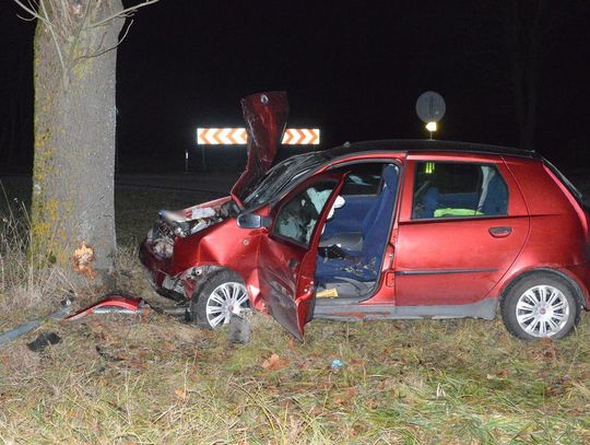 Zjechał z drogi w Świerżach i uderzył w drzewo