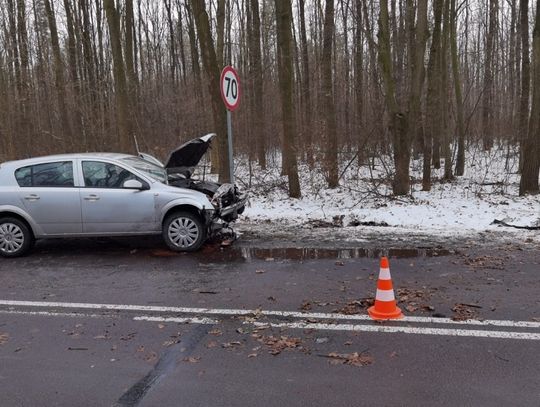 Zjechała z drogi, uderzyła w drzewo