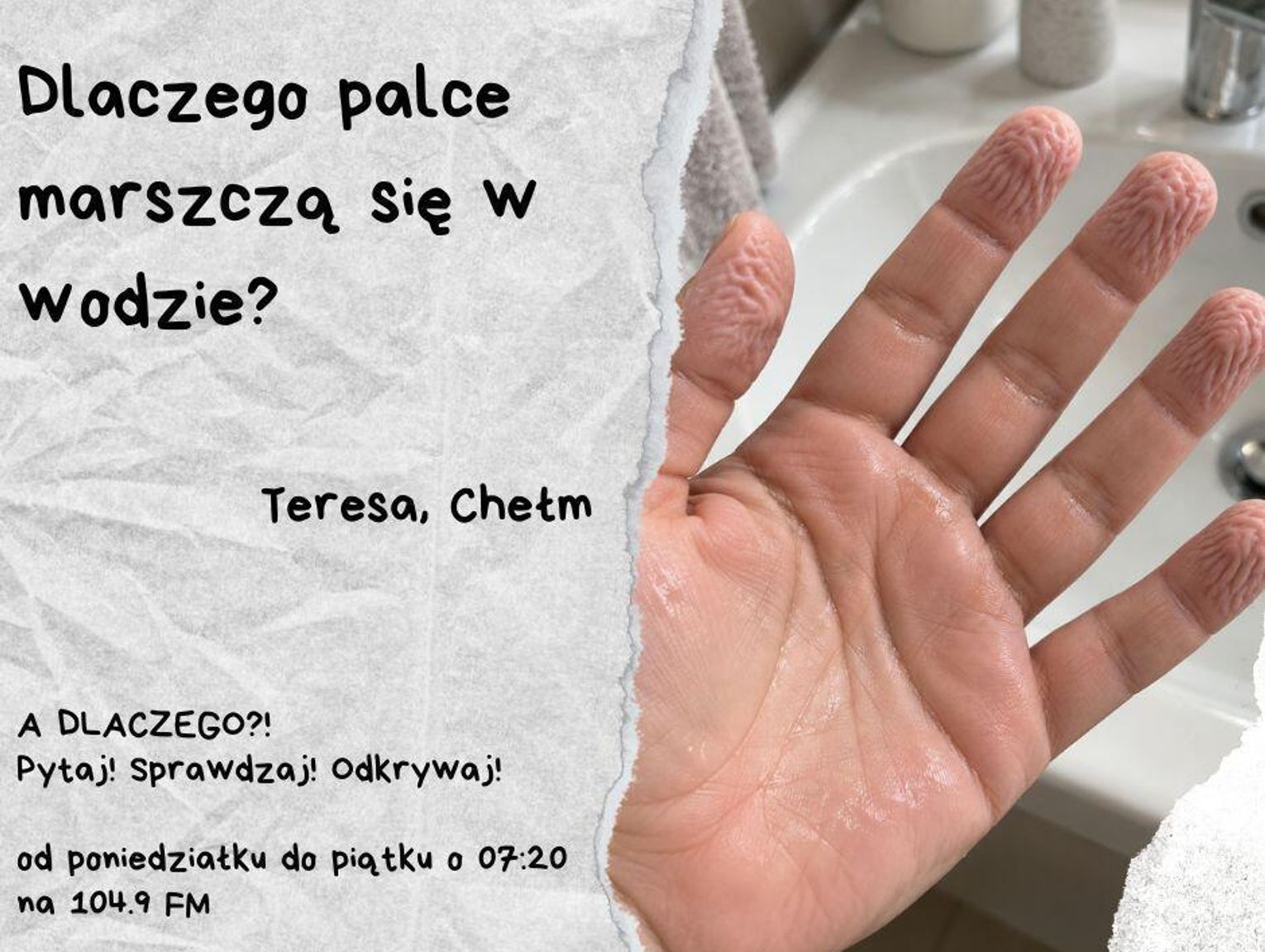 A DLACZEGO?! Pytaj! Sprawdzaj! Odkrywaj! odc. 11.
