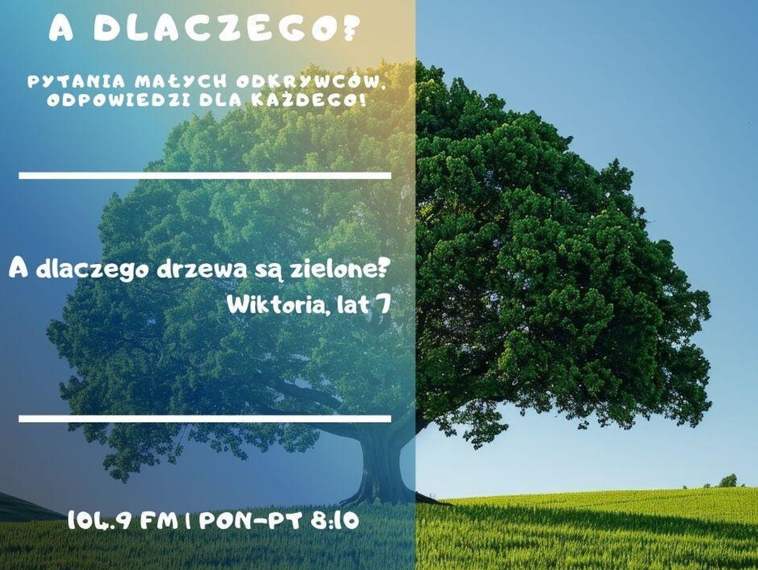 A dlaczego? Pytania małych odkrywców, odpowiedzi dla wszystkich!