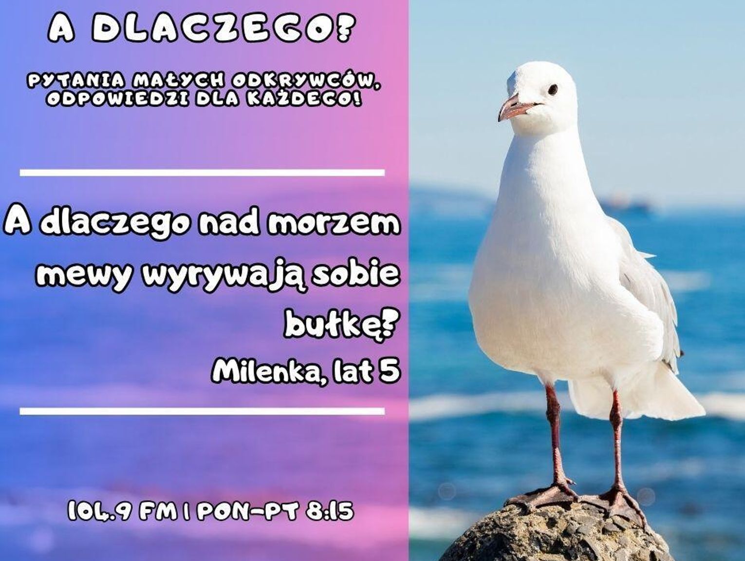 A dlaczego? Pytania małych odkrywców, odpowiedzi dla wszystkich! (odc. 8)