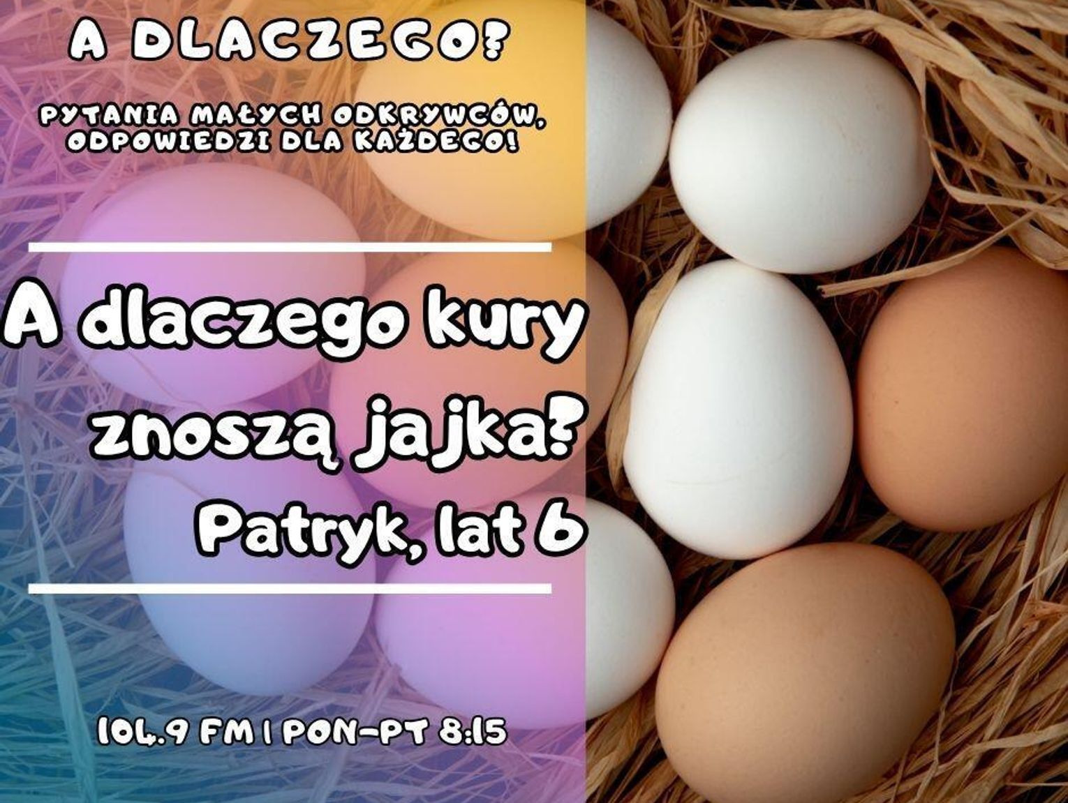 A dlaczego? Pytania małych odkrywców, odpowiedzi dla wszystkich! odc. 21.