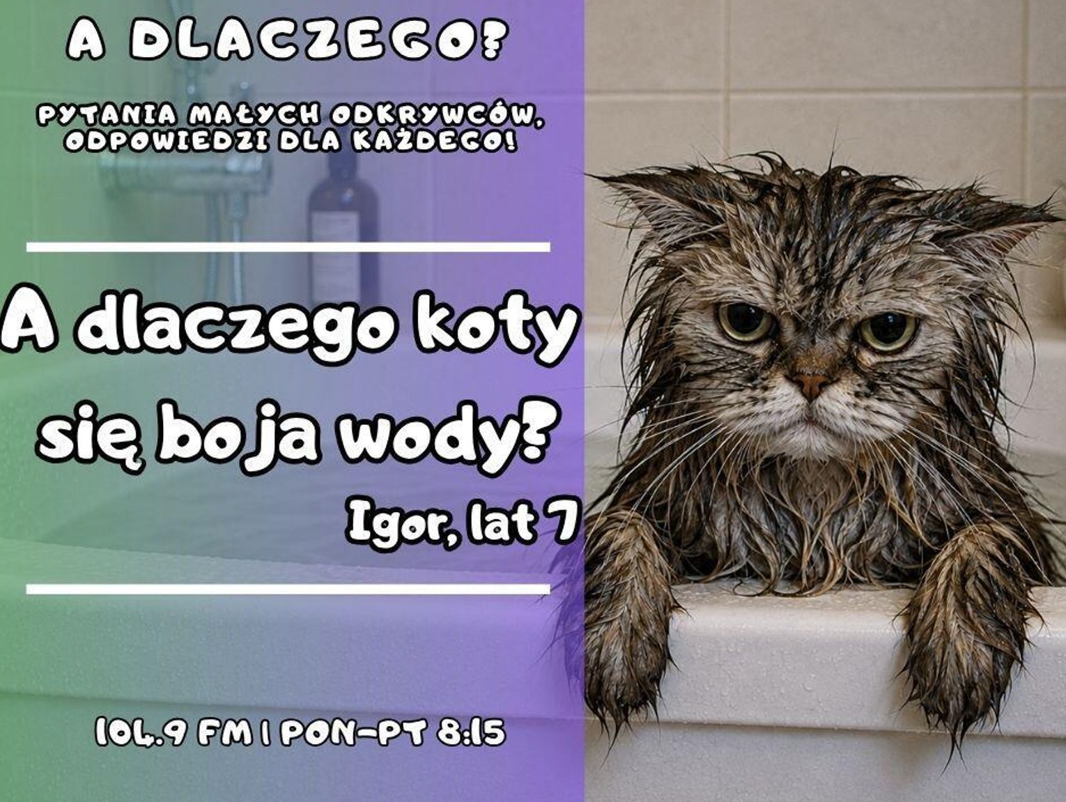 A dlaczego? Pytania małych odkrywców, odpowiedzi dla wszystkich! odc. 36.