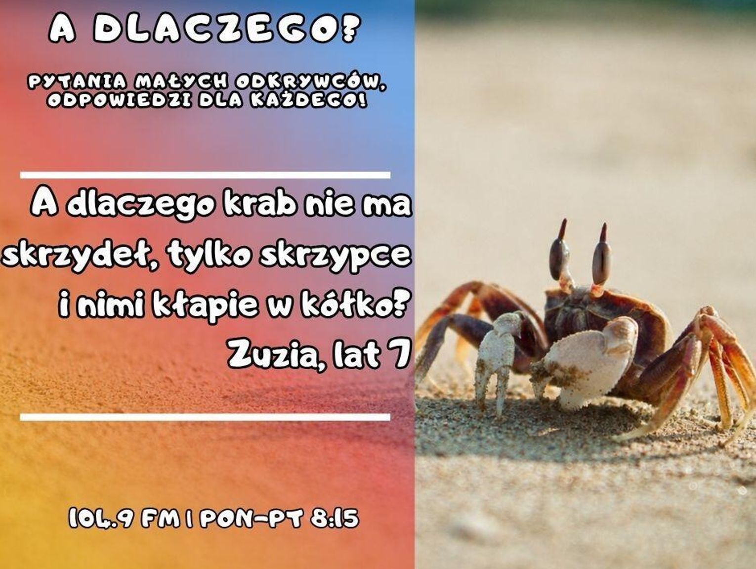 A dlaczego? Pytania małych odkrywców, odpowiedzi dla wszystkich! odc. 40.