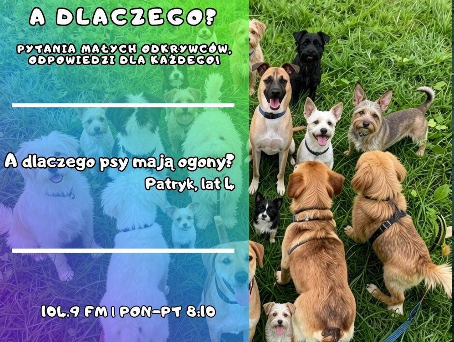 A dlaczego? Pytania małych odkrywców, odpowiedzi dla wszystkich! odc. 5.
