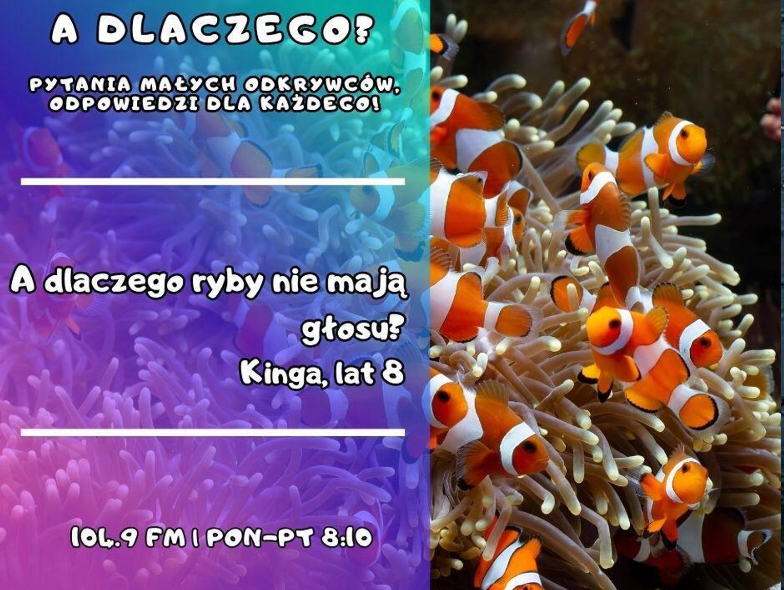 A dlaczego? Pytania małych odkrywców, odpowiedzi dla wszystkich! odc. 6.