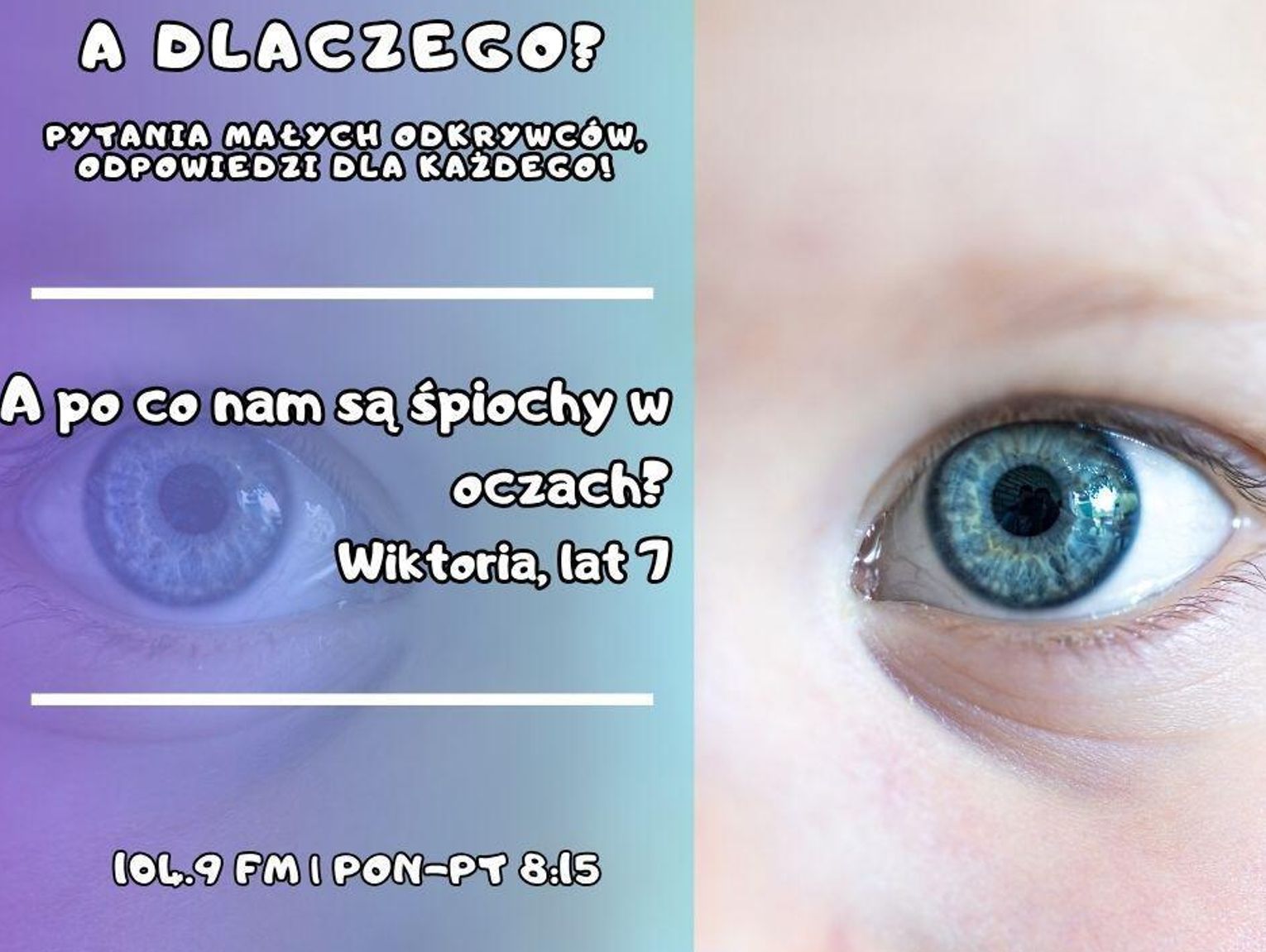 A dlaczego? Pytania małych odkrywców, odpowiedzi dla wszystkich! (odc. 7.)