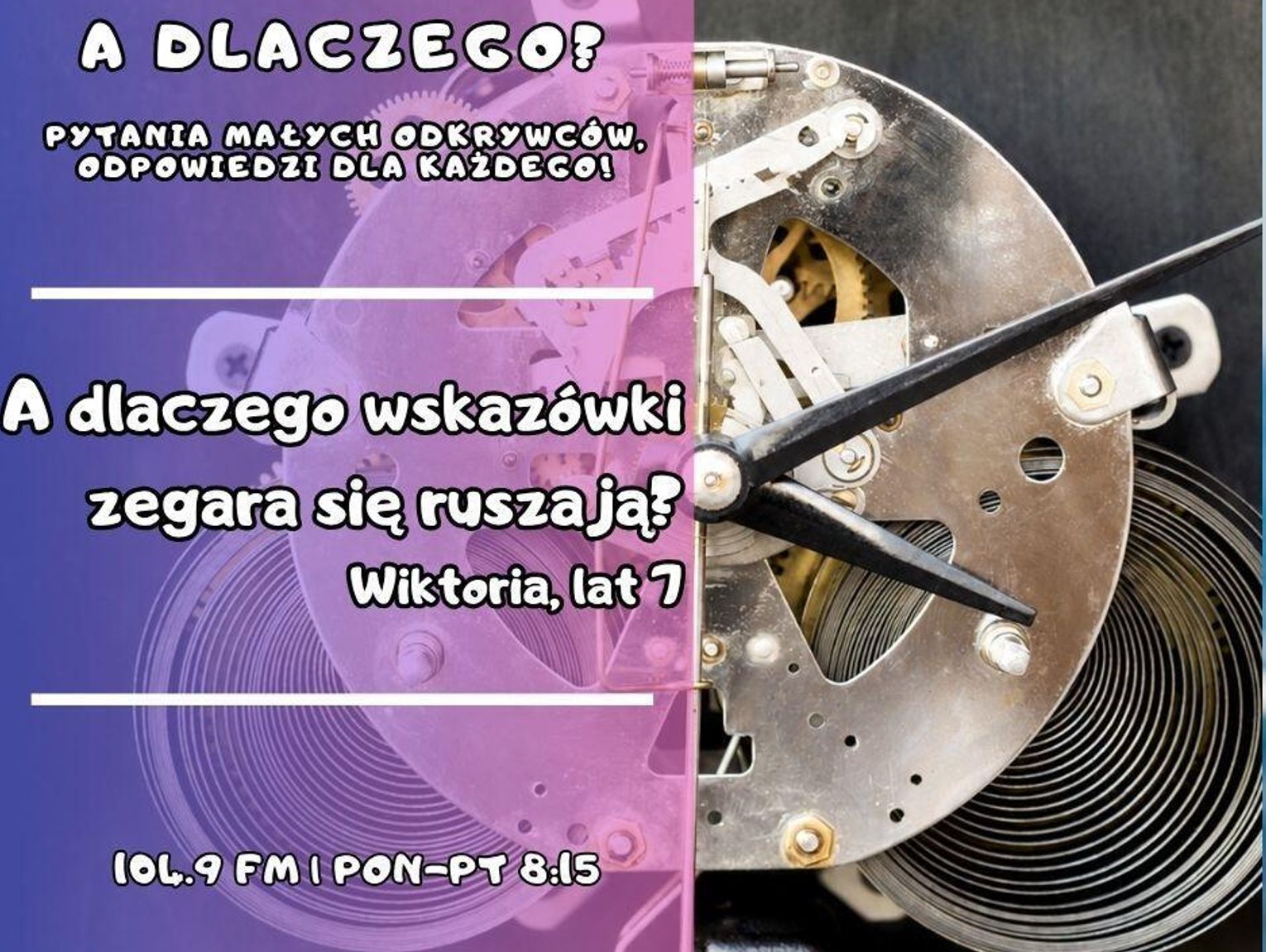 A dlaczego? Pytania małych odkrywców, odpowiedzi dla wszystkich! odc. 9.