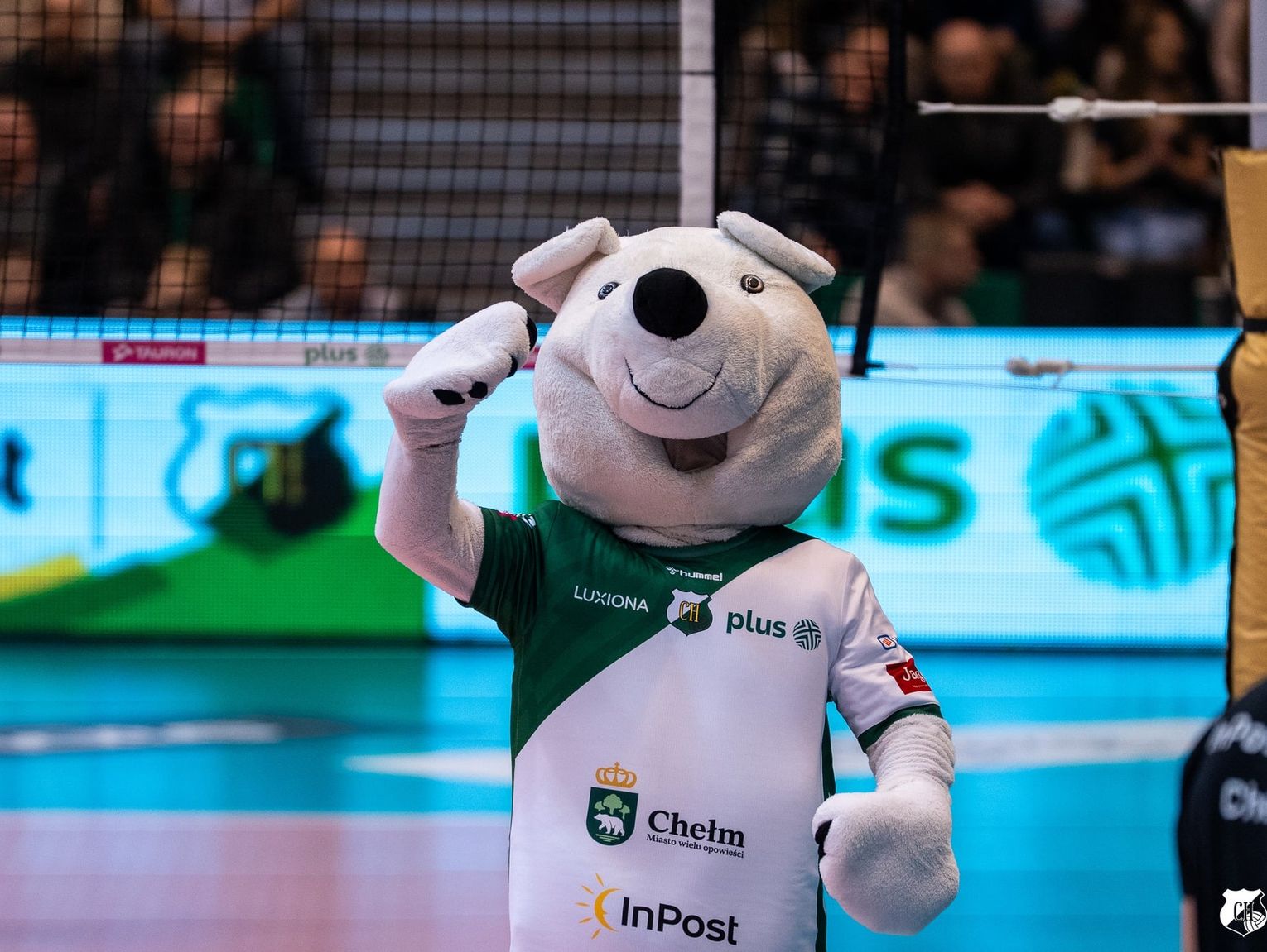 Audioportret z kibicami w roli głównej. Opowieść Agnieszki i Piotra z Chełmskiego Stowarzyszenia Kibiców Siatkówki