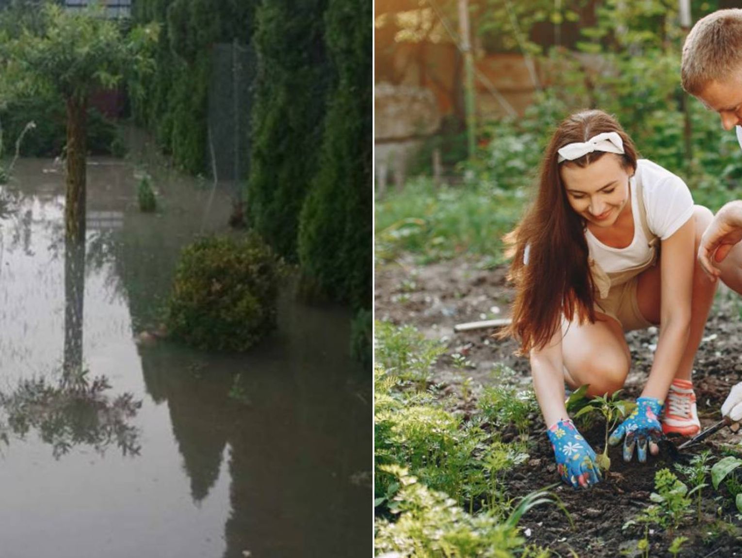Chełm. Walczą z wodą i z nadzieją spoglądają w stronę instytucji. Działkowicze z ROD "Plon" mają nie lada zgryz