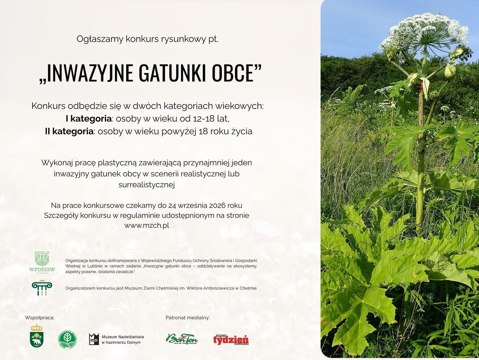 Co barszcz Sosnowskiego, szop pracz i konkurs plastyczny mają ze sobą wspólnego? Okazuje się, iż całkiem sporo!