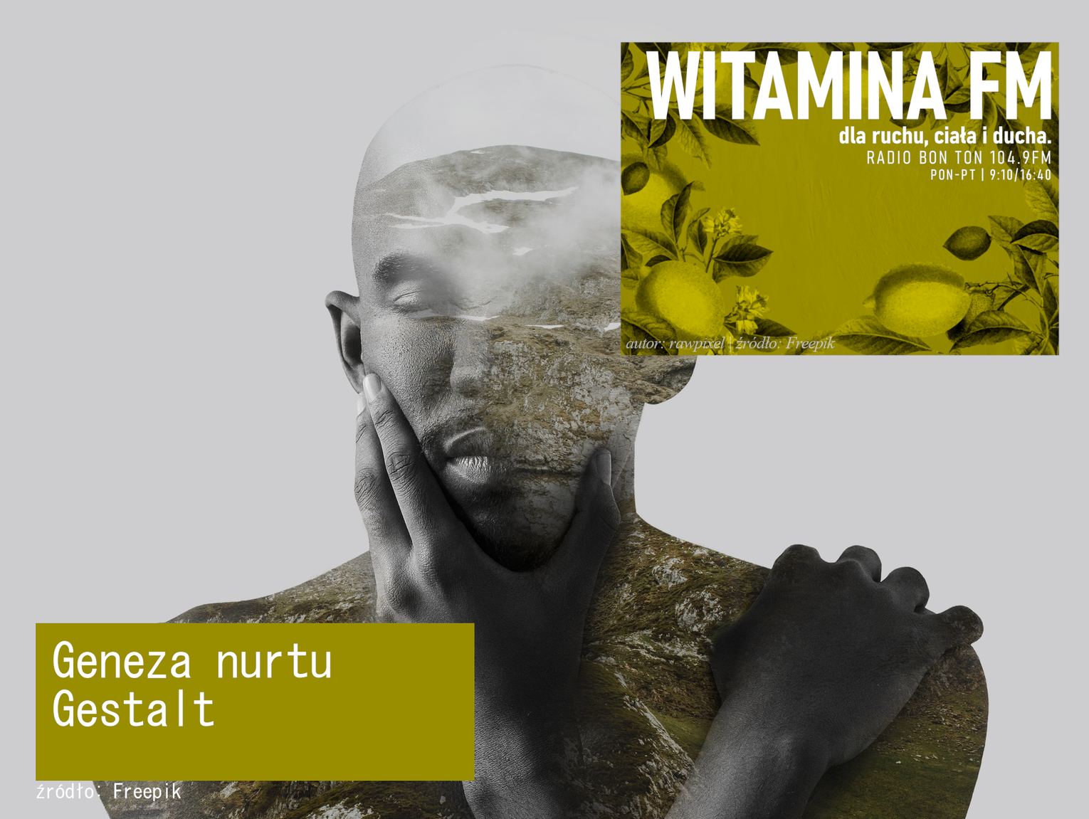 Geneza nurtu Gestalt - Witamina FM