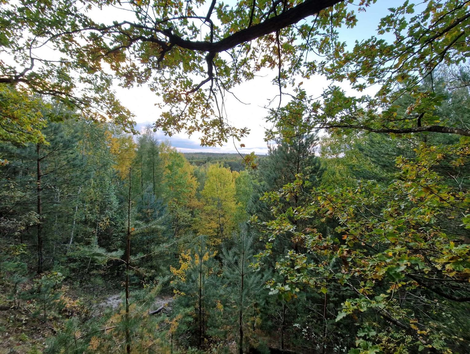 Instrukcja Przetrwania #19 - Samotność podczas survivalu