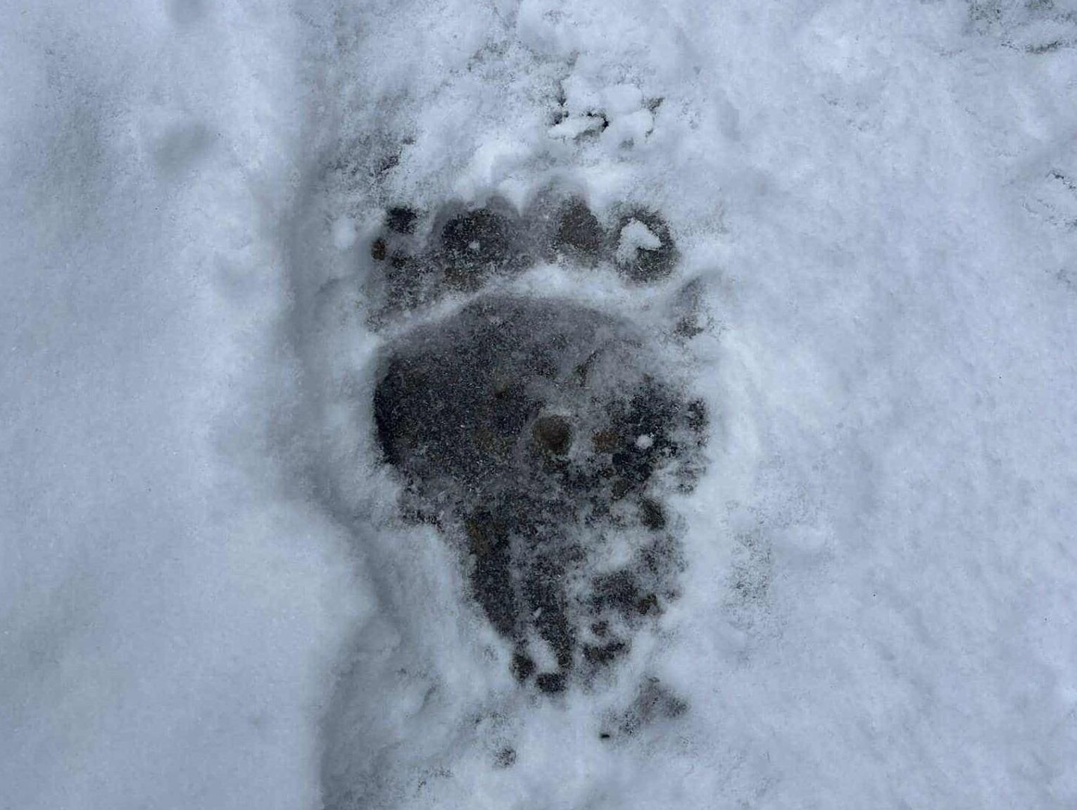 Instrukcja Przetrwania #6 - gościna w królestwie zwierząt