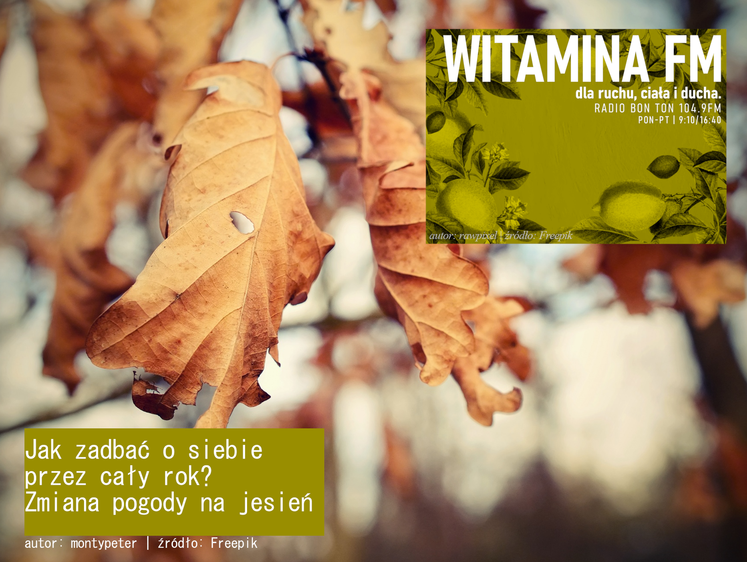 Jak zadbać o siebie przez cały rok? - Zmiana pogody na jesień - Witamina FM