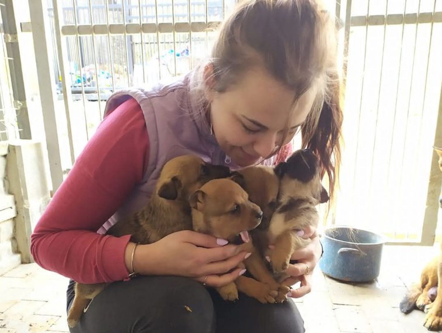 Katarzyna Kalita o sytuacji zwierząt w chełmskim schronisku