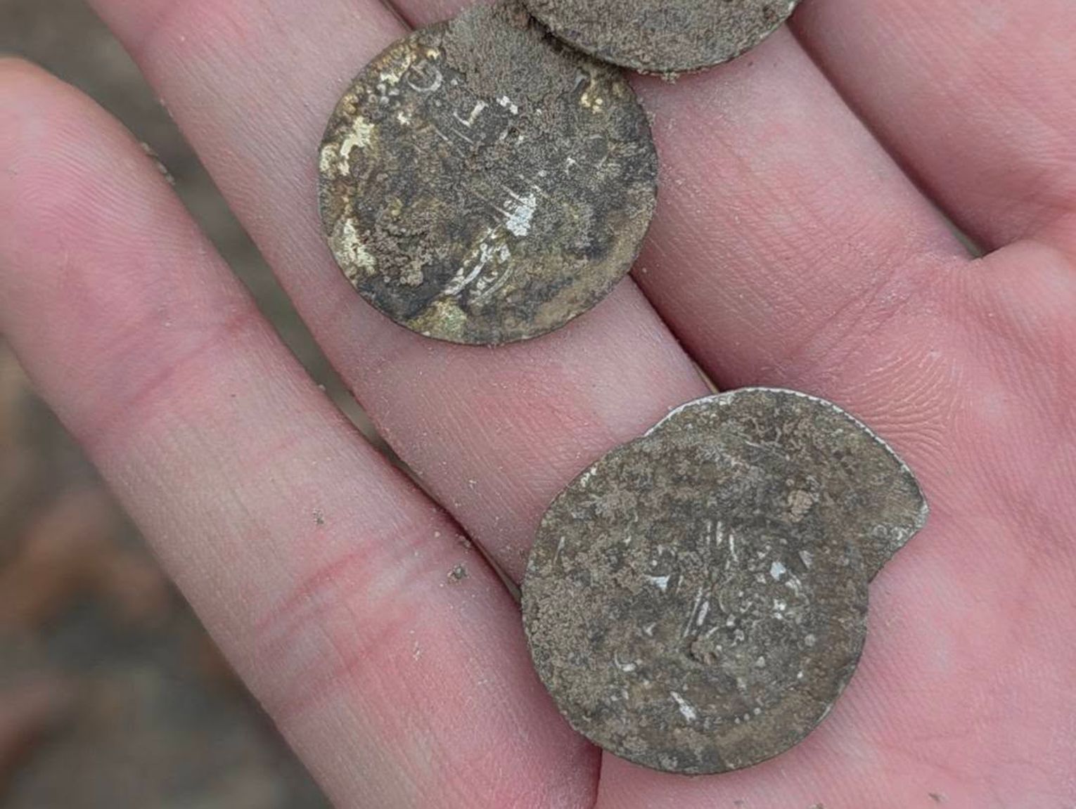 Krasnystaw. Znaleźli srebrny skarb sprzed 400 lat!