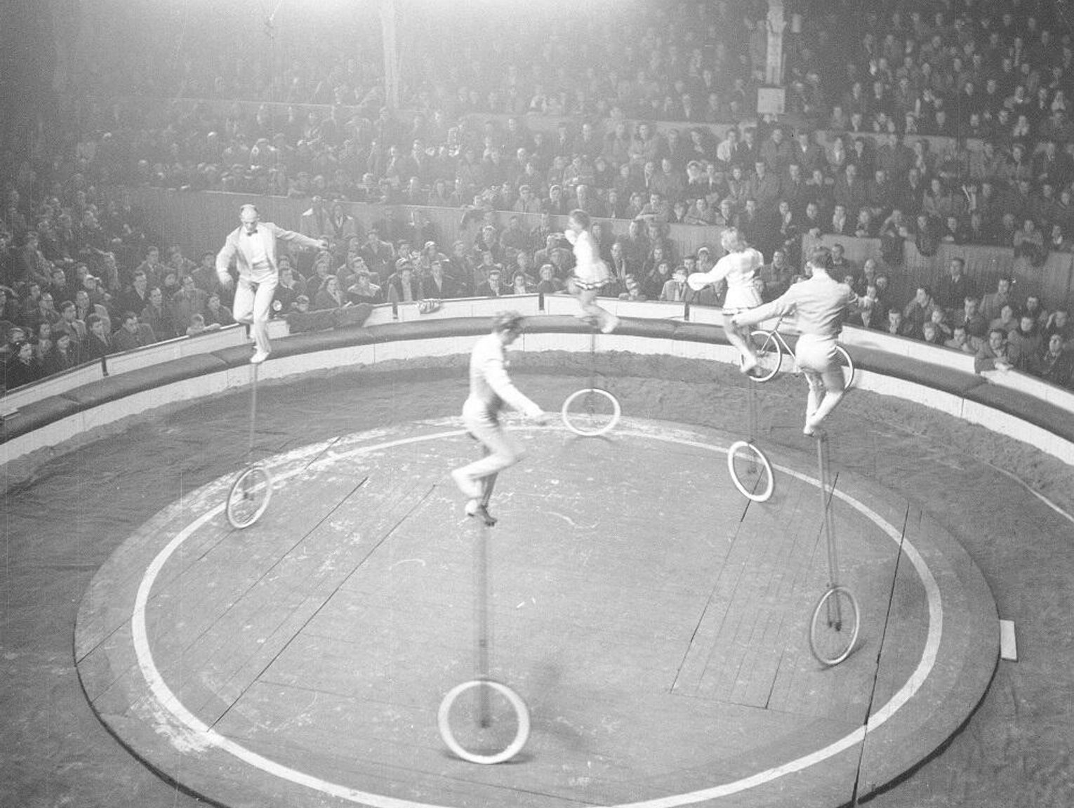 Kroniki miasta. Cyrk "Warszawa" w Chełmie.