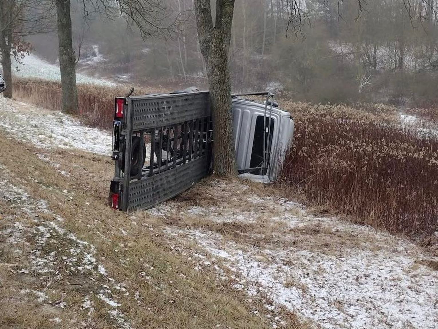 Laweta uderzyła w drzewo. Trudne warunki na drogach i kontrole policji
