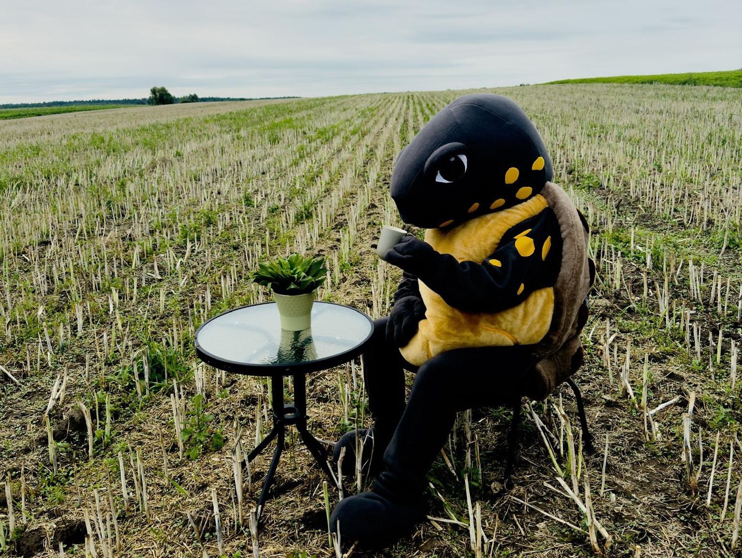 Lokalne wiadomości sportowe - godz. 14:30 (10 września)