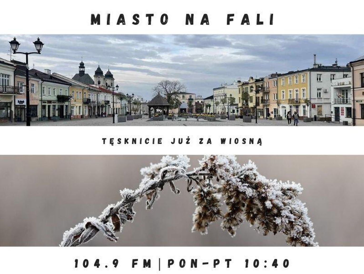 Miasto Na Fali - odc. 293.