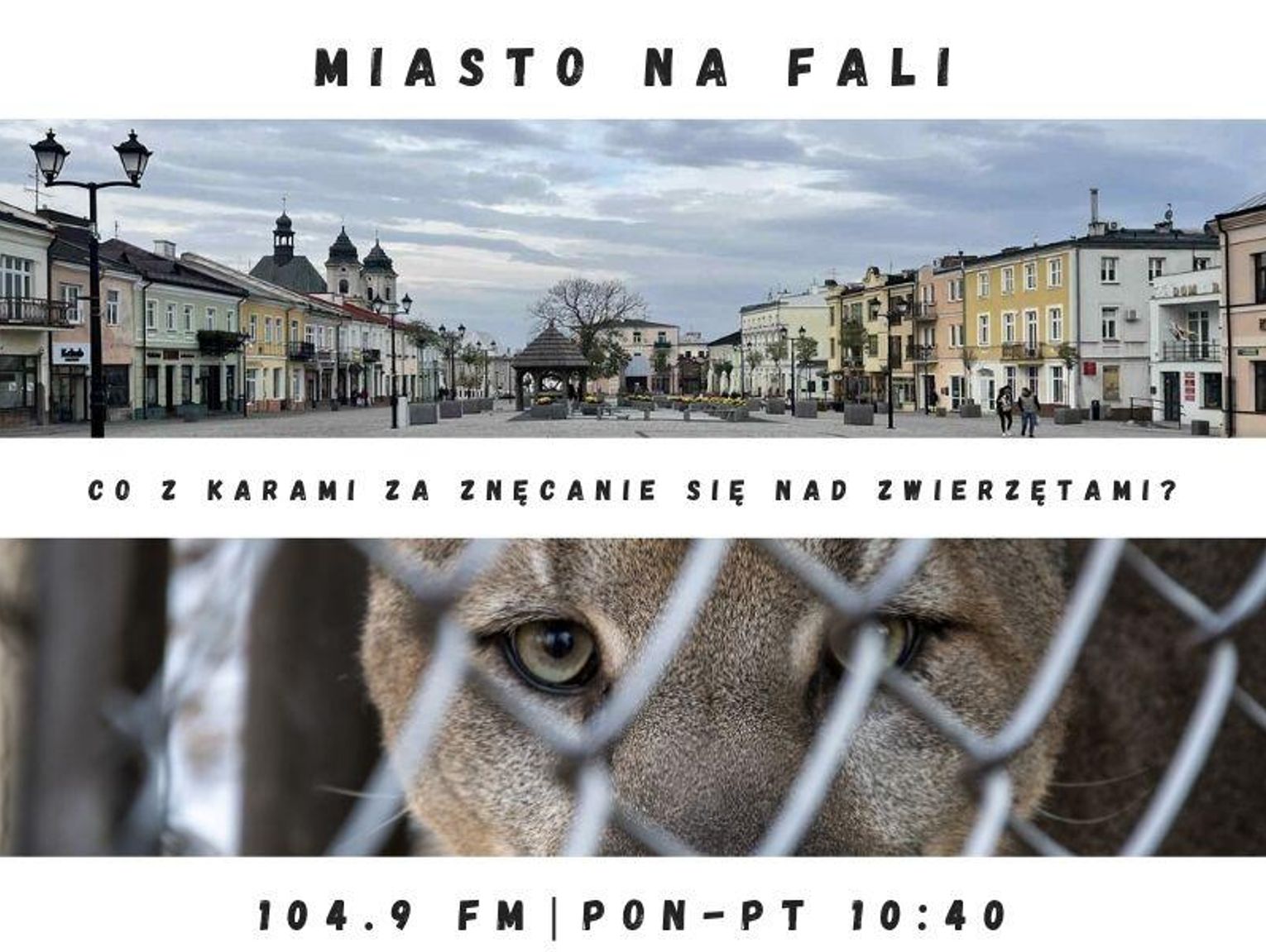 Miasto Na Fali - odc. 298.