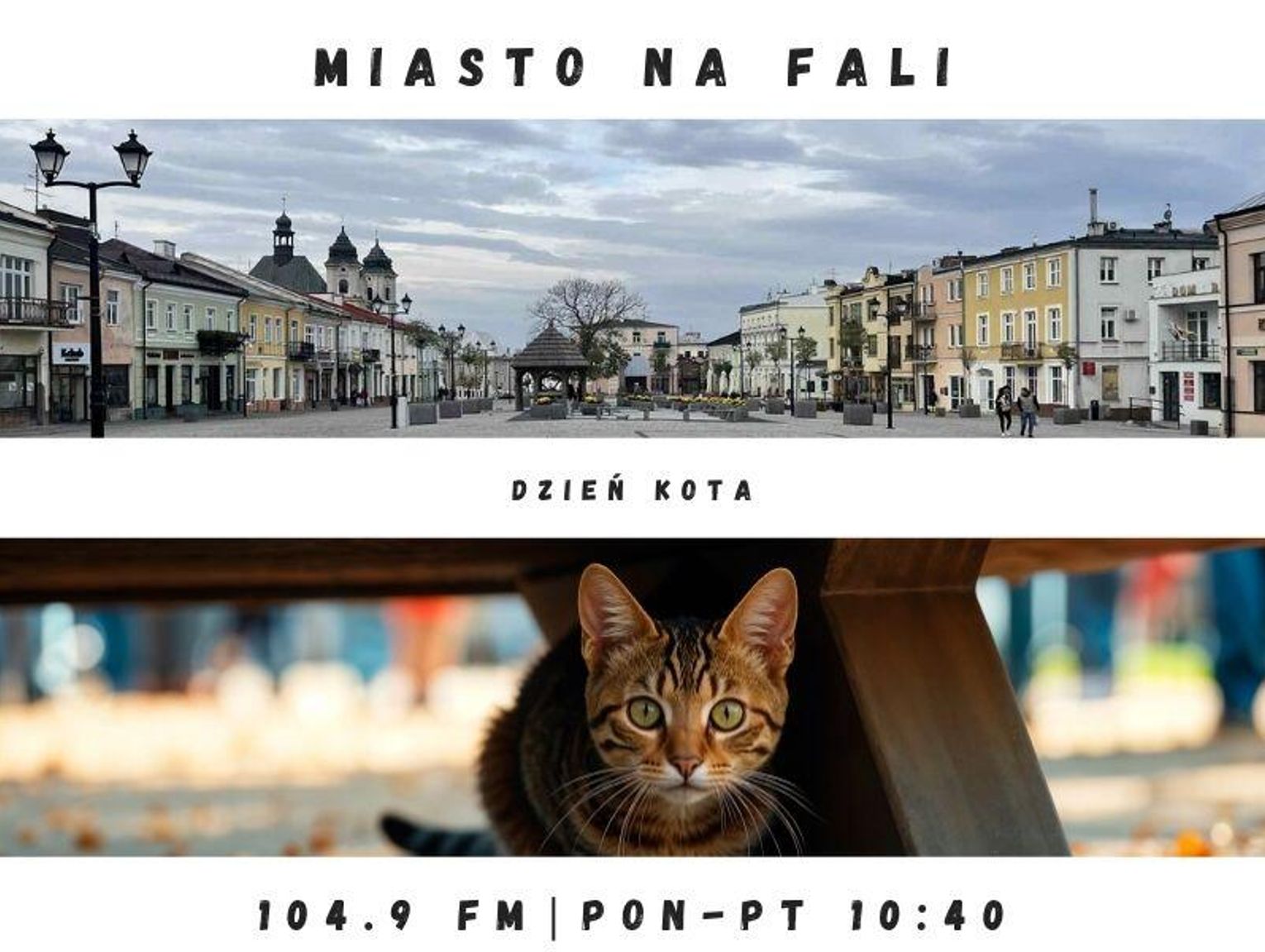 Miasto Na Fali - odc. 312.