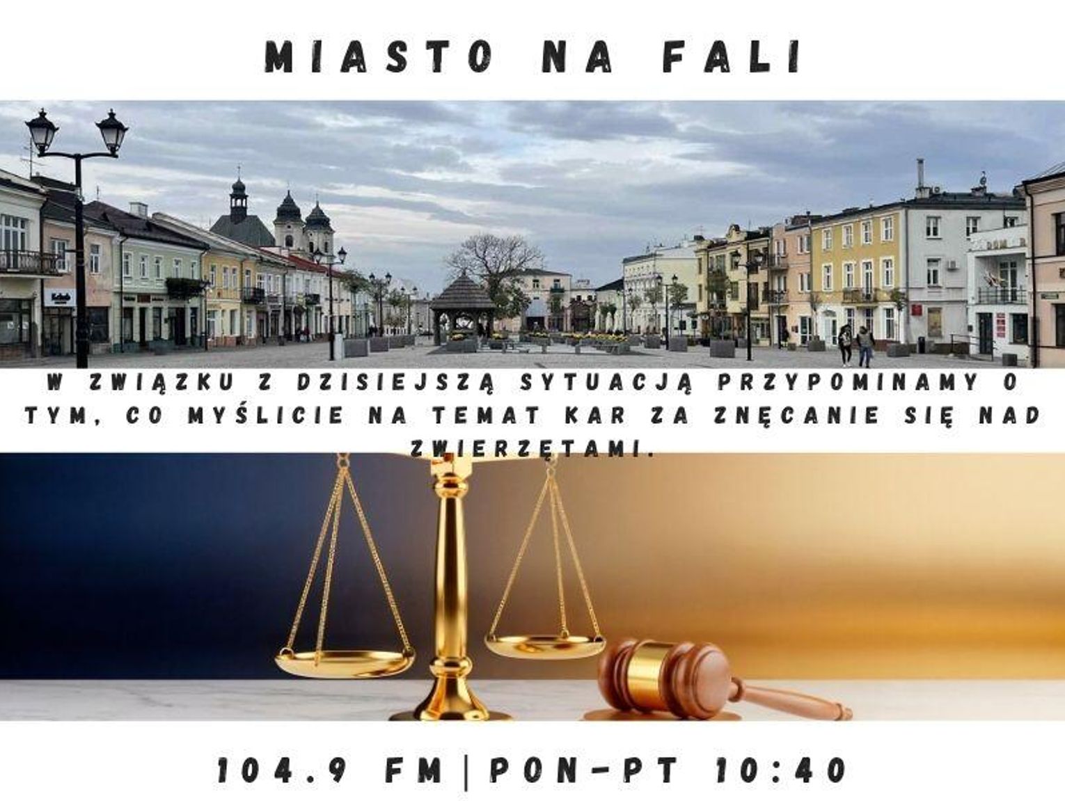 Miasto Na Fali - odc. 331.