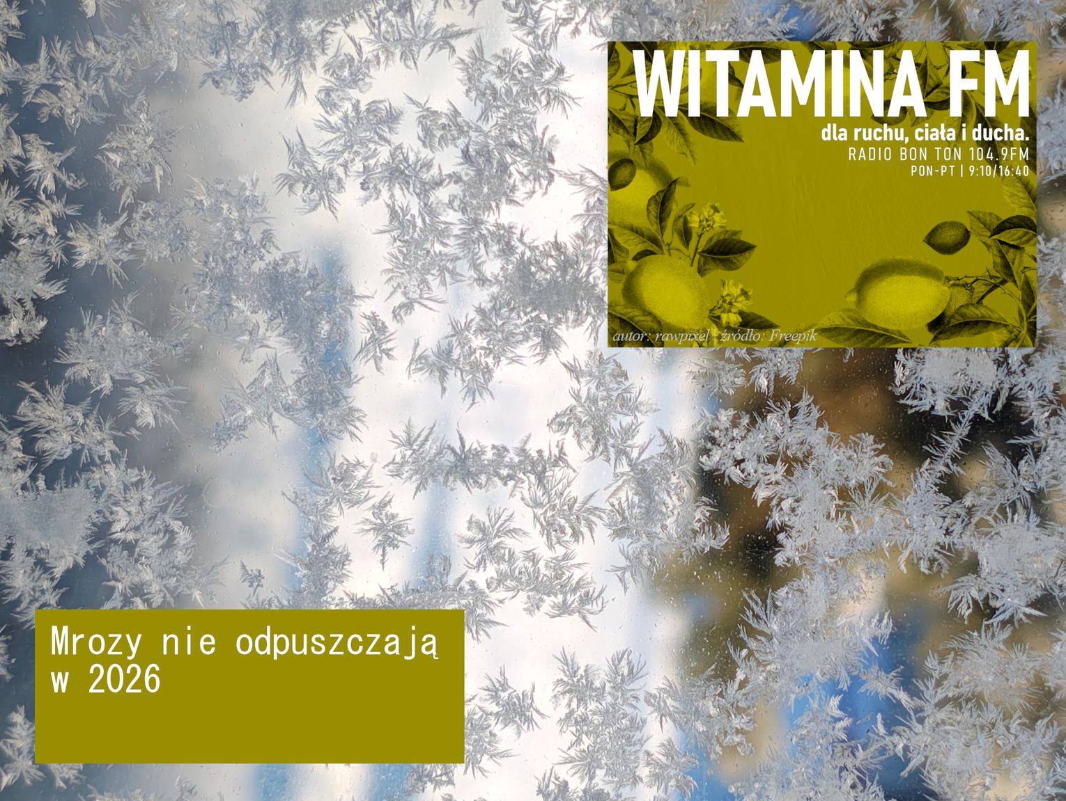 Mrozy nie odpuszczają w 2026 - Witamina FM