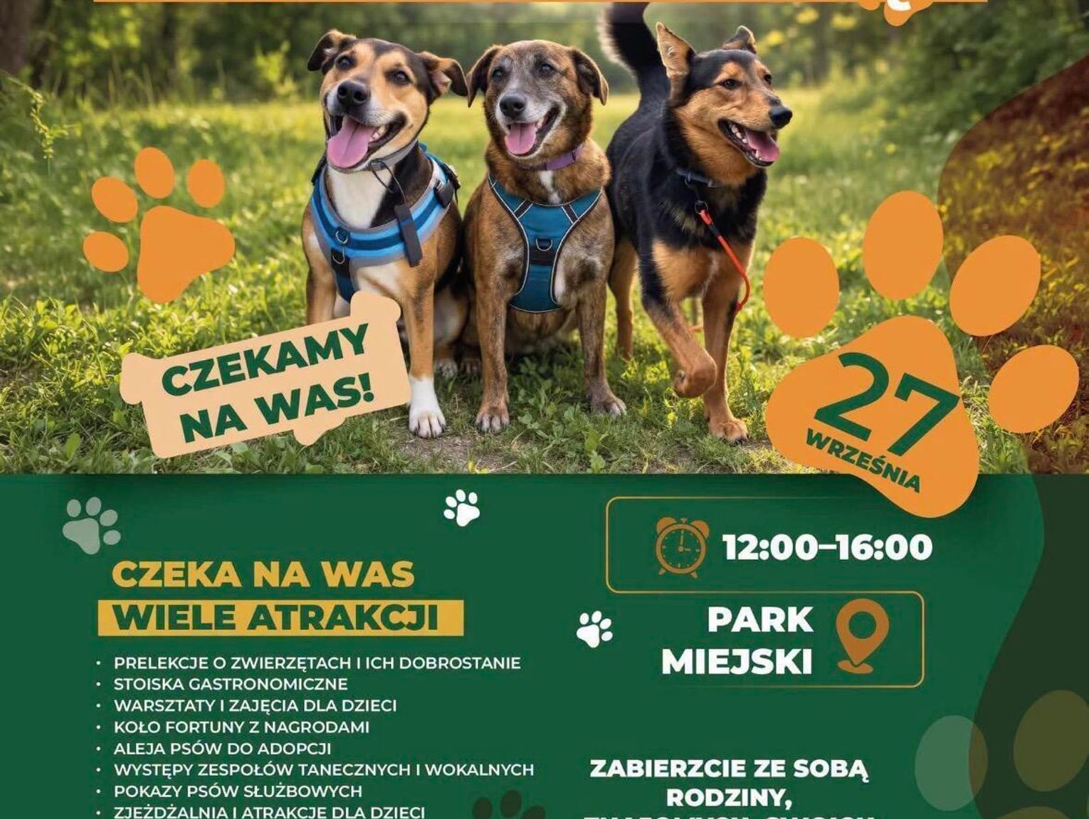 Najważniejszy filar chełmskiego schroniska dla zwierząt apeluje o dołączanie!