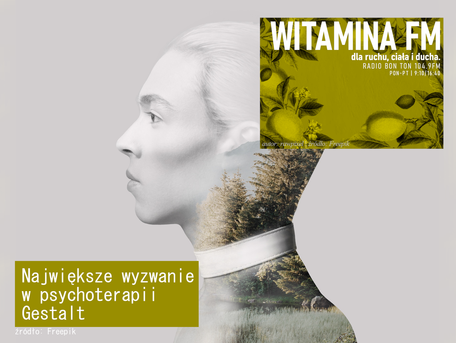 Największe wyzwanie w psychoterapii gestalt - Witamina FM