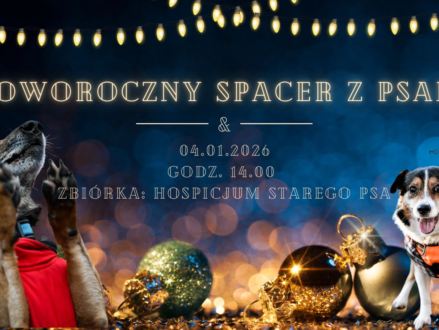 Noworoczny spacer z psami - zaprasza Fundacja Hospicjum Starego Psa u Psiej Mamy