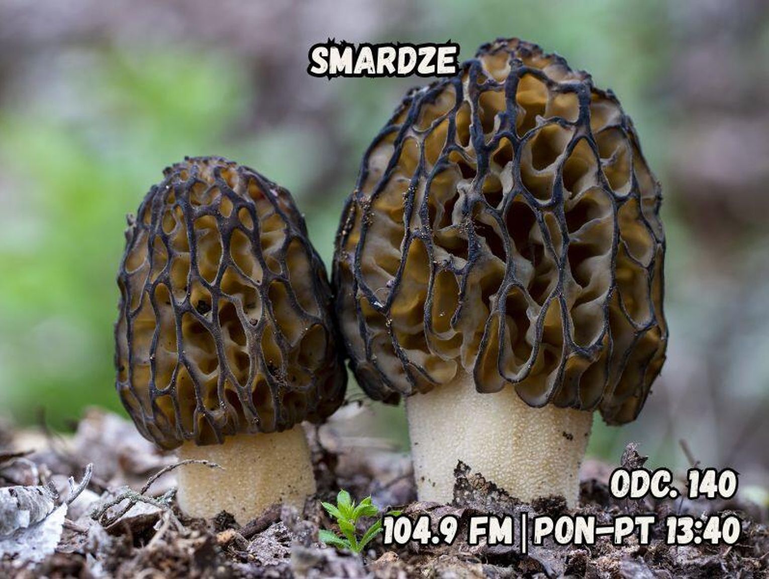 Planeta w 5 minut - odc. 140.